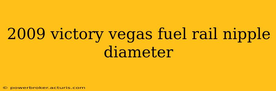 2009 victory vegas fuel rail nipple diameter