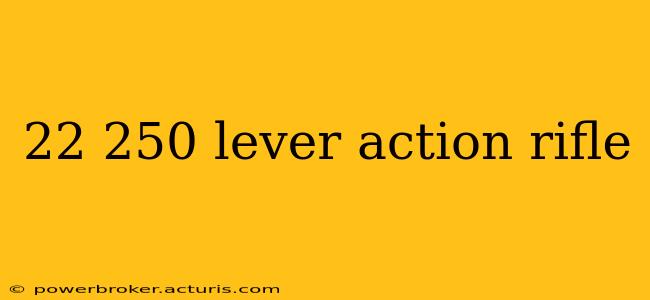 22 250 lever action rifle