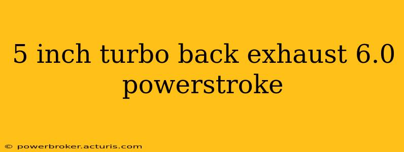 5 inch turbo back exhaust 6.0 powerstroke
