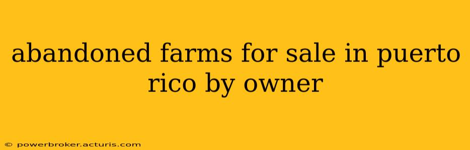 abandoned farms for sale in puerto rico by owner
