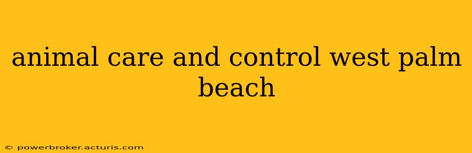 animal care and control west palm beach