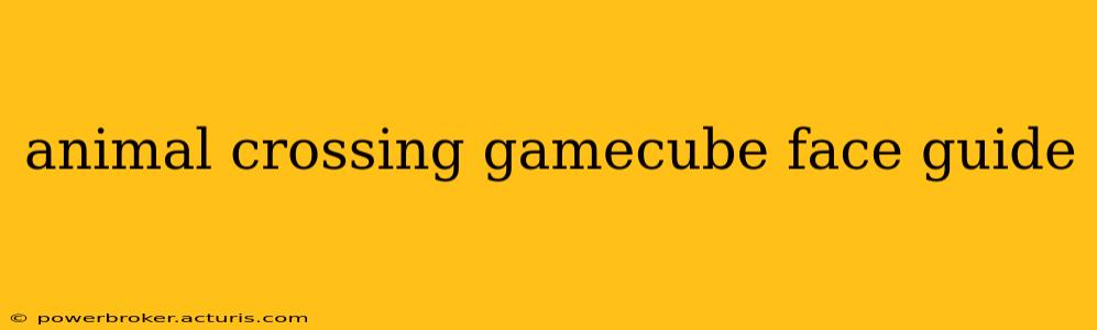 animal crossing gamecube face guide