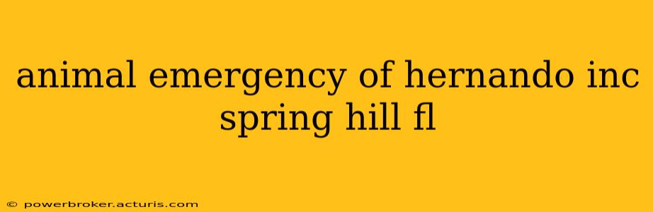 animal emergency of hernando inc spring hill fl