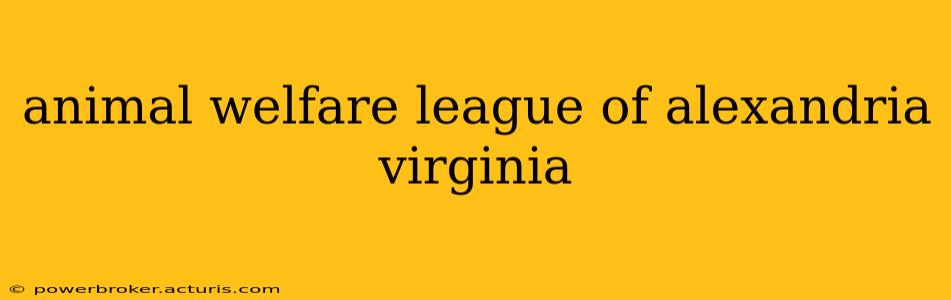 animal welfare league of alexandria virginia