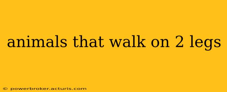 animals that walk on 2 legs