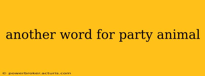 another word for party animal