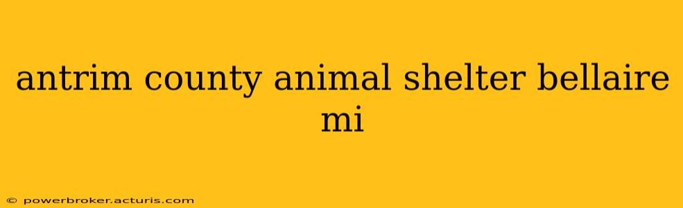 antrim county animal shelter bellaire mi