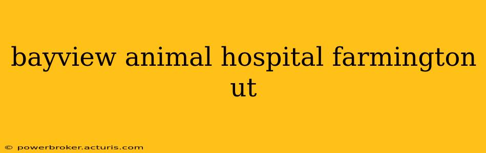 bayview animal hospital farmington ut