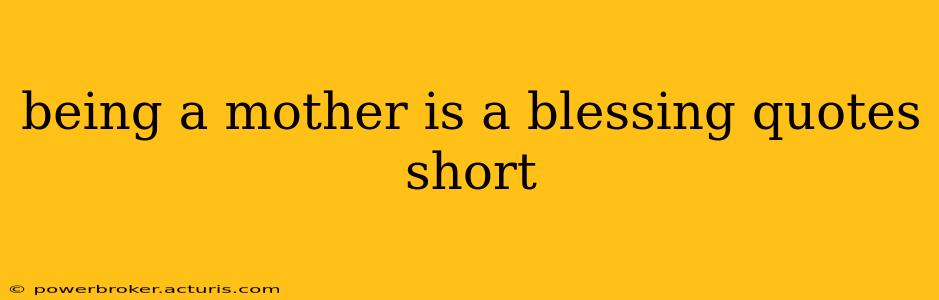 being a mother is a blessing quotes short