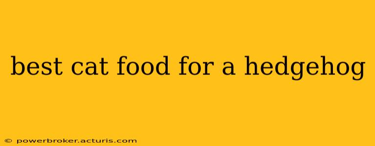 best cat food for a hedgehog