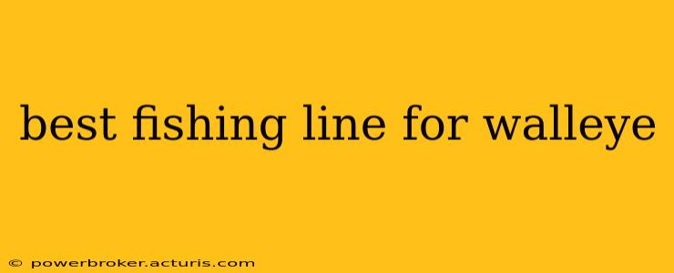 best fishing line for walleye