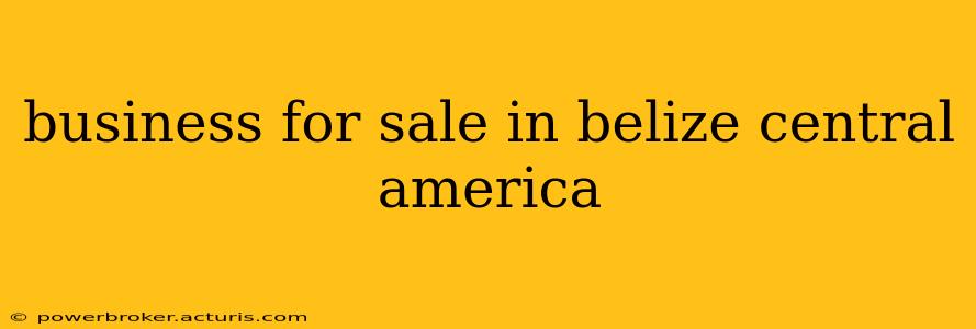business for sale in belize central america