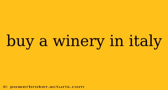 buy a winery in italy