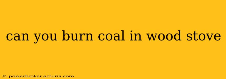 can you burn coal in wood stove