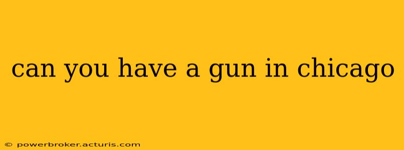 can you have a gun in chicago