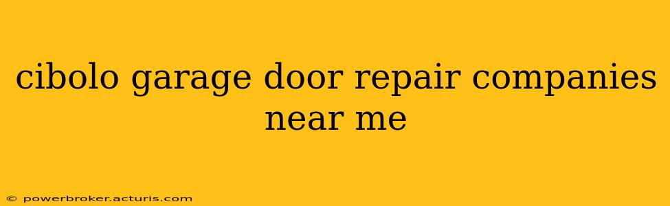 cibolo garage door repair companies near me