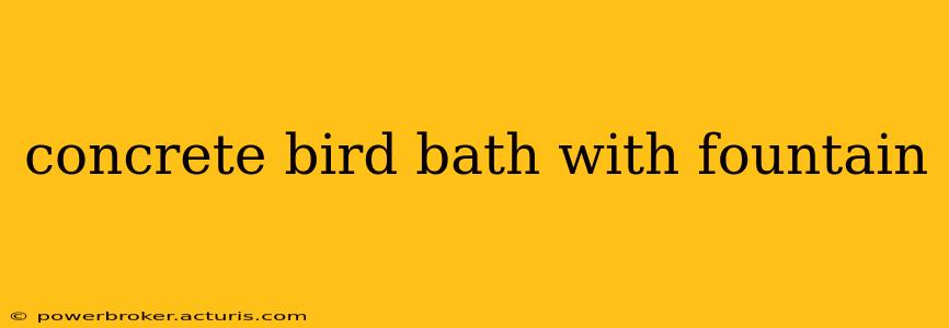 concrete bird bath with fountain