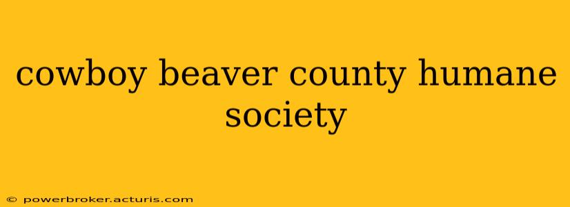 cowboy beaver county humane society