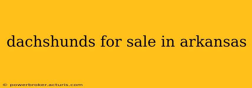 dachshunds for sale in arkansas