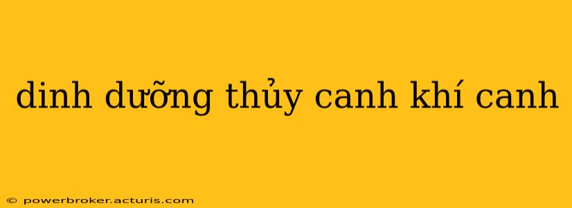 dinh dưỡng thủy canh khí canh