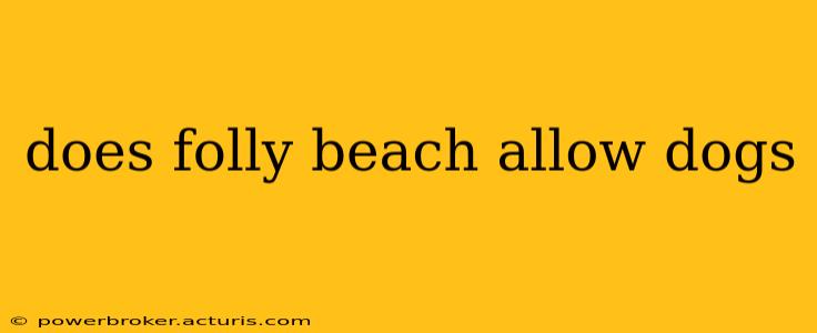 does folly beach allow dogs