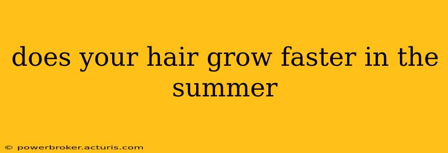 does your hair grow faster in the summer