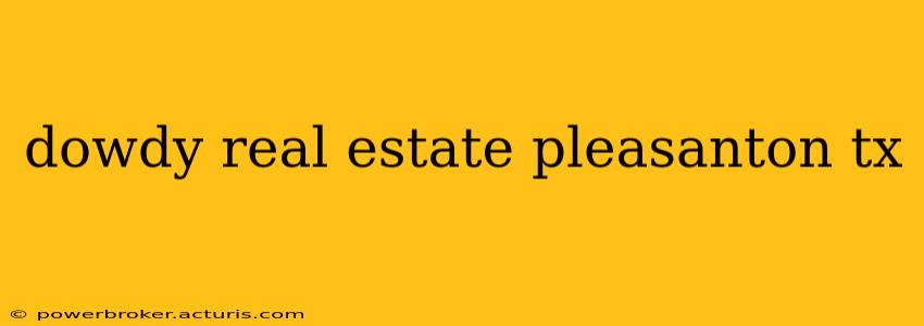 dowdy real estate pleasanton tx