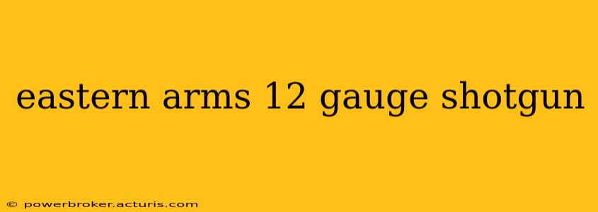 eastern arms 12 gauge shotgun