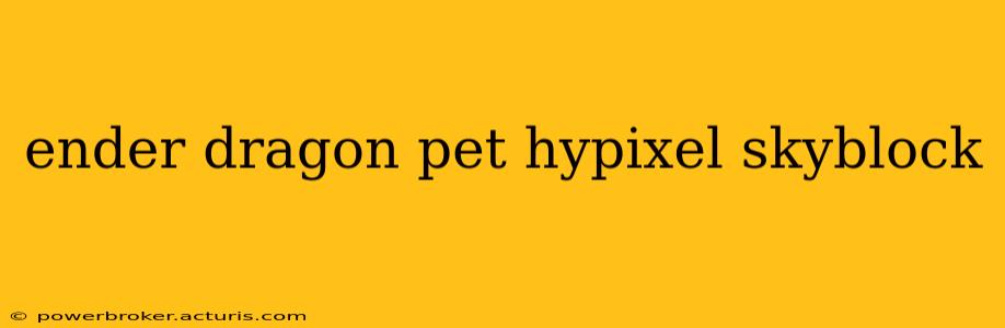 ender dragon pet hypixel skyblock