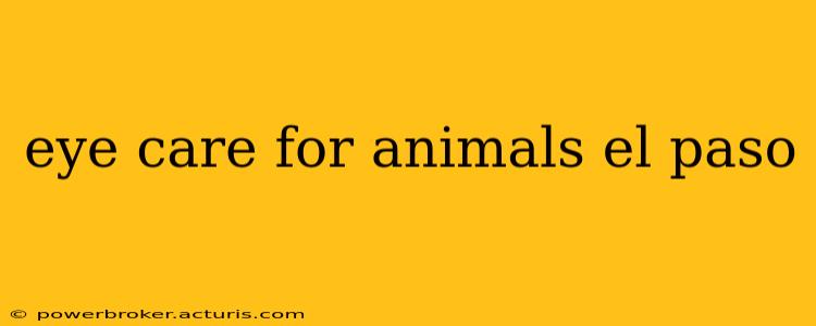eye care for animals el paso