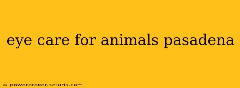 eye care for animals pasadena
