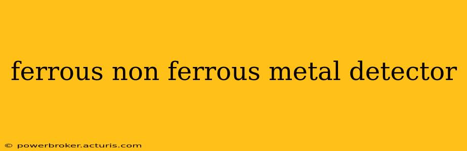 ferrous non ferrous metal detector