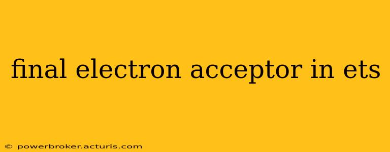 final electron acceptor in ets