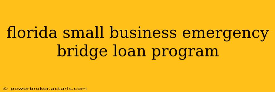 florida small business emergency bridge loan program