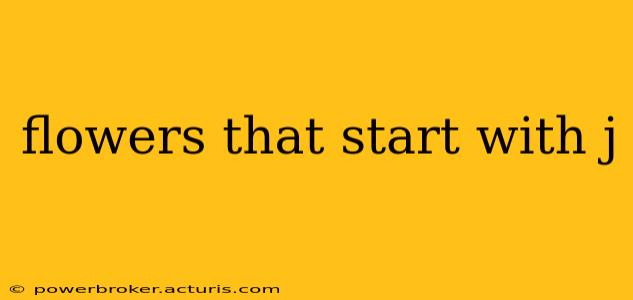 flowers that start with j