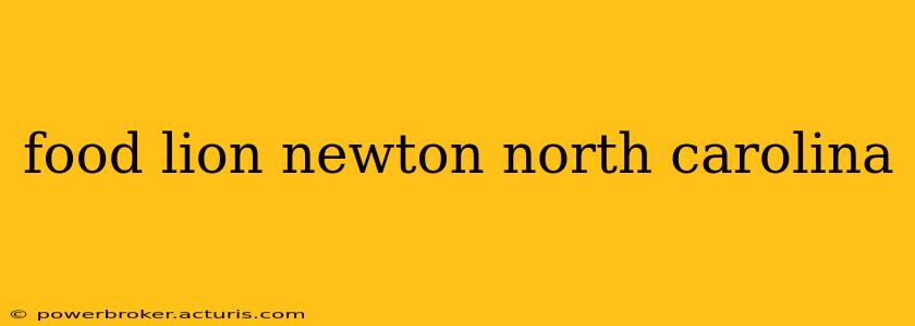 food lion newton north carolina
