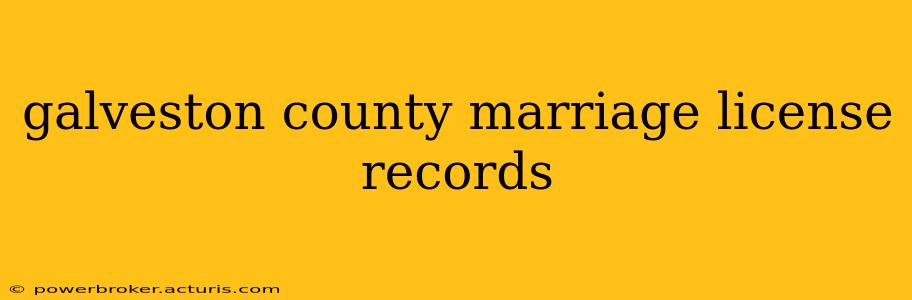 galveston county marriage license records