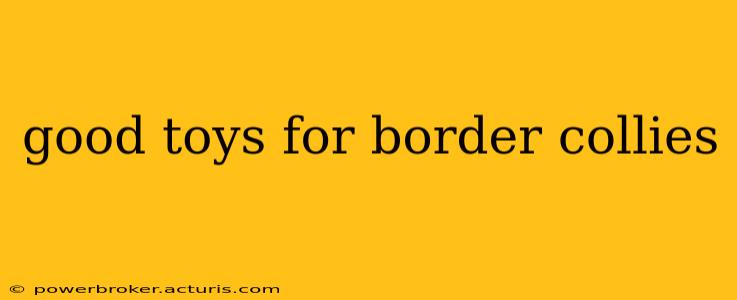 good toys for border collies