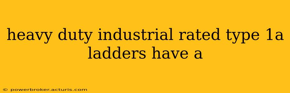heavy duty industrial rated type 1a ladders have a