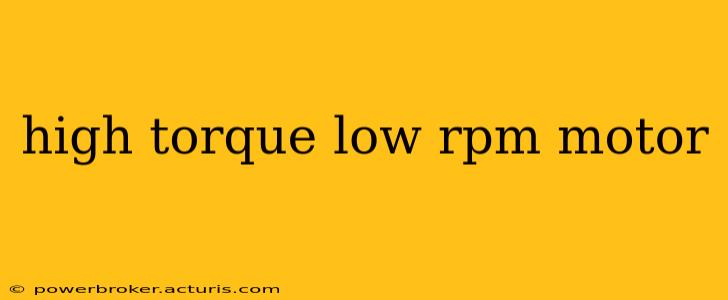 high torque low rpm motor