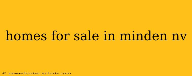 homes for sale in minden nv