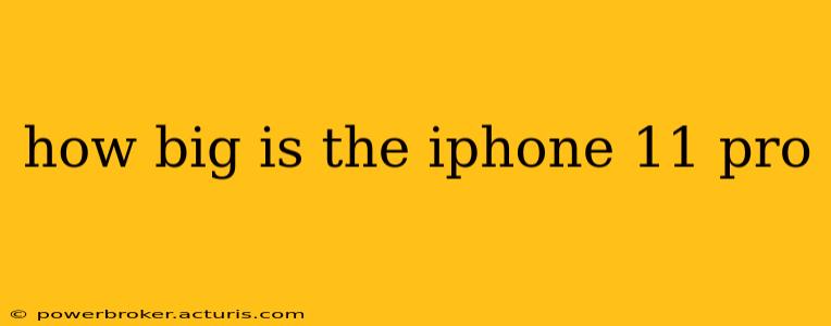 how big is the iphone 11 pro