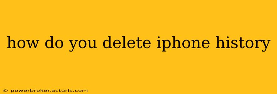 how do you delete iphone history