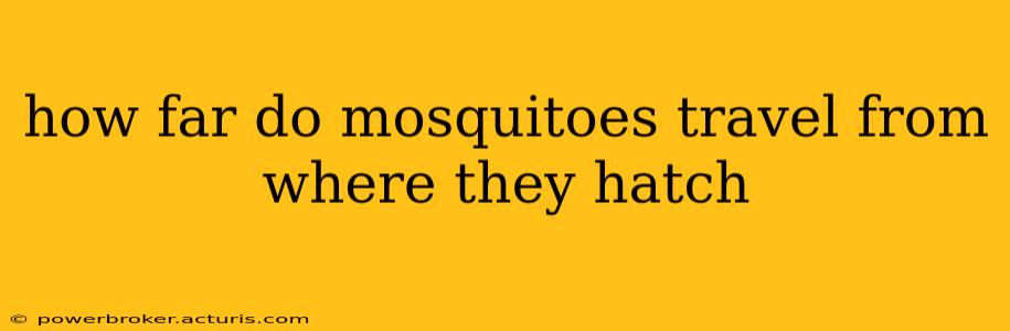 how far do mosquitoes travel from where they hatch