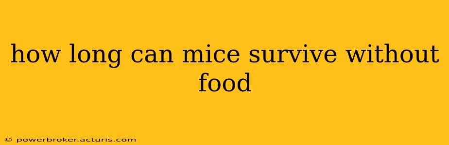 how long can mice survive without food