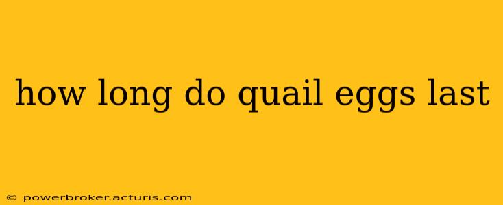 how long do quail eggs last