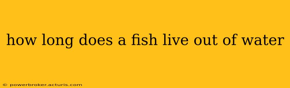 how long does a fish live out of water