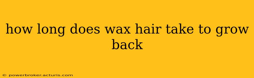 how long does wax hair take to grow back