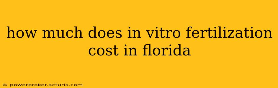 how much does in vitro fertilization cost in florida