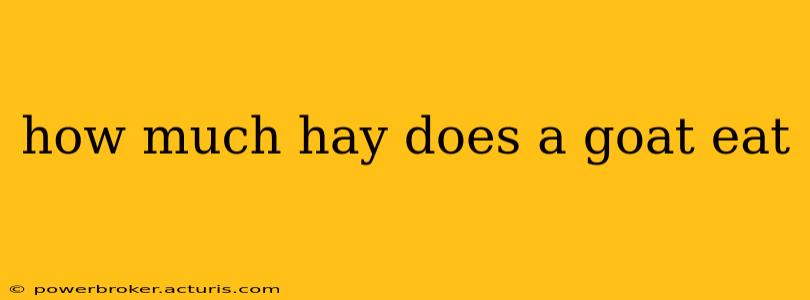 how much hay does a goat eat
